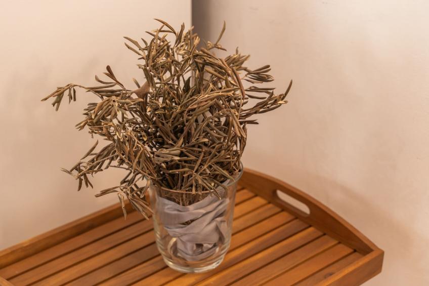 Ranch House Zora - One Bedroom Ranch House - foto 45