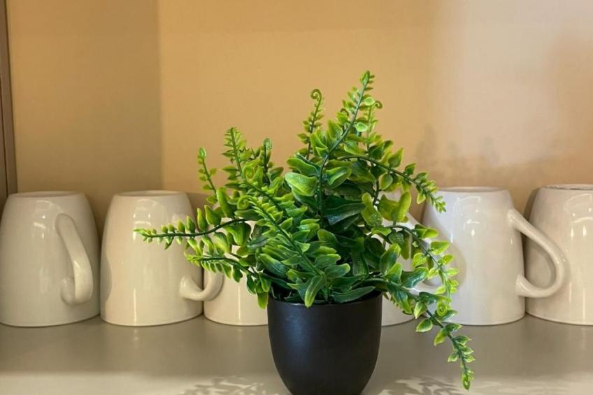 Wohnung 'Irda Style House - foto 14