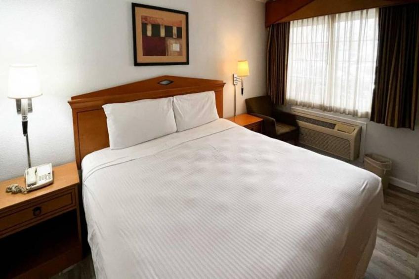 1 King Bed  Non-Smoking
