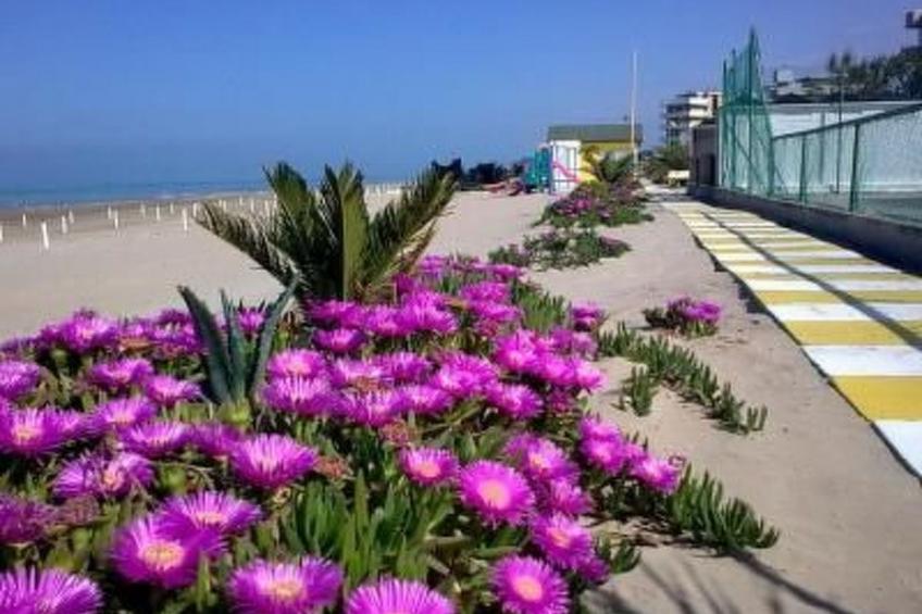 Wohnung 'Mare Blu 3' in Strandnähe - foto 10