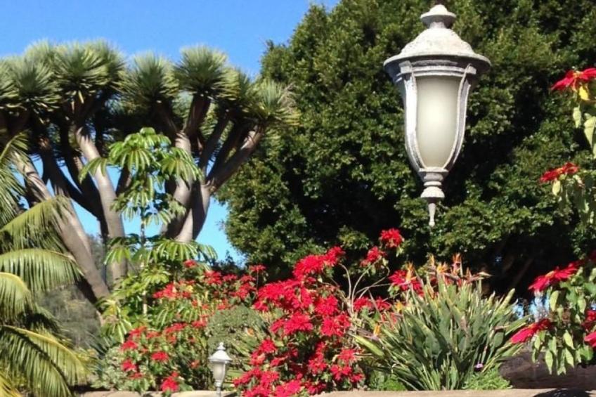 Finca Los Vinedos - foto 22