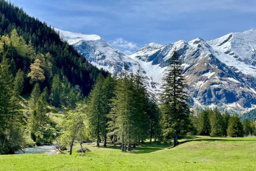 Alpine Lodge XL - foto 30