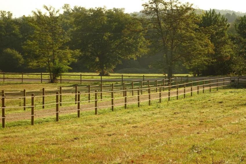 Maison de vacances - CENDRIEUX - foto 32