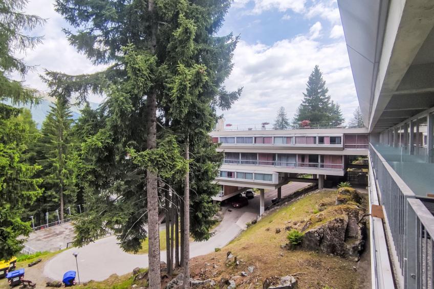 Tra le Piste - foto 12