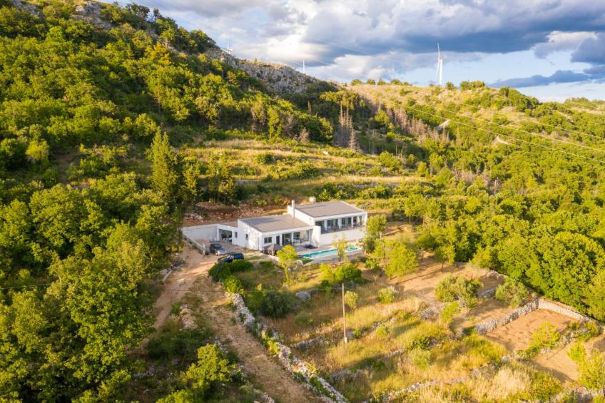 La Finca OliveTree - foto 58