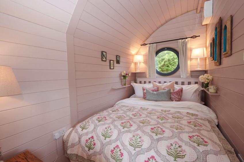 The Cornflower - foto 16