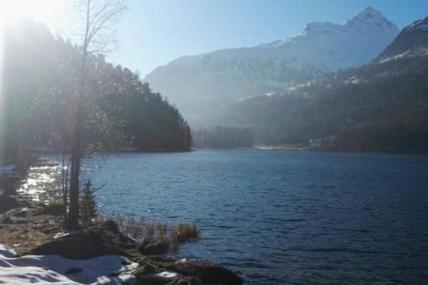 Chesa Andrea, EG - foto 35