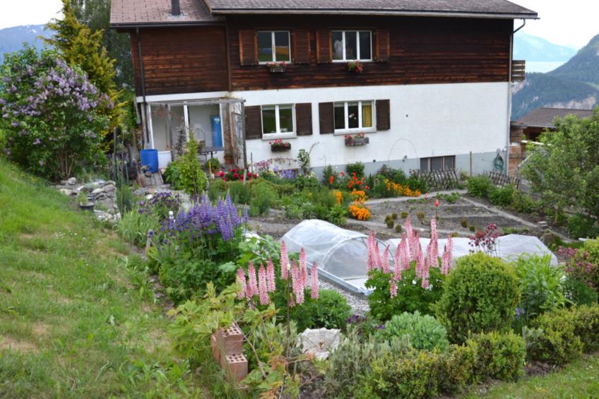 Wohnung Hof Coms, (Urmein), - foto 11