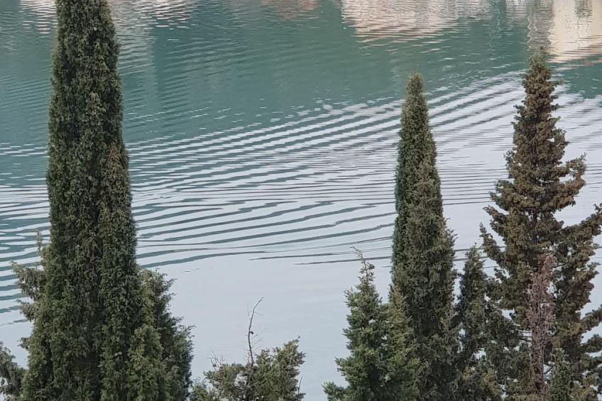 Ferienwohnung. für 3 Personen - foto 15