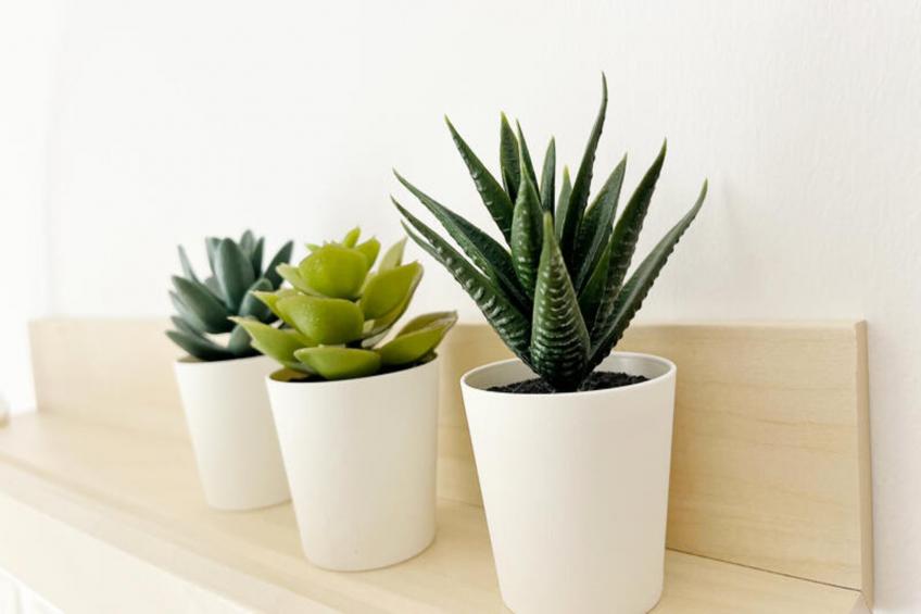 Appartements à Puerto de Sagunto - foto 21