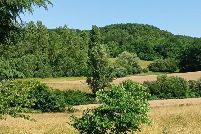 Maison Lamothe - foto 29