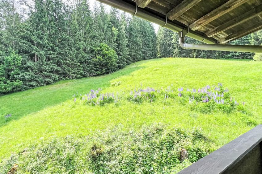 Studio Esche 4 - foto 23