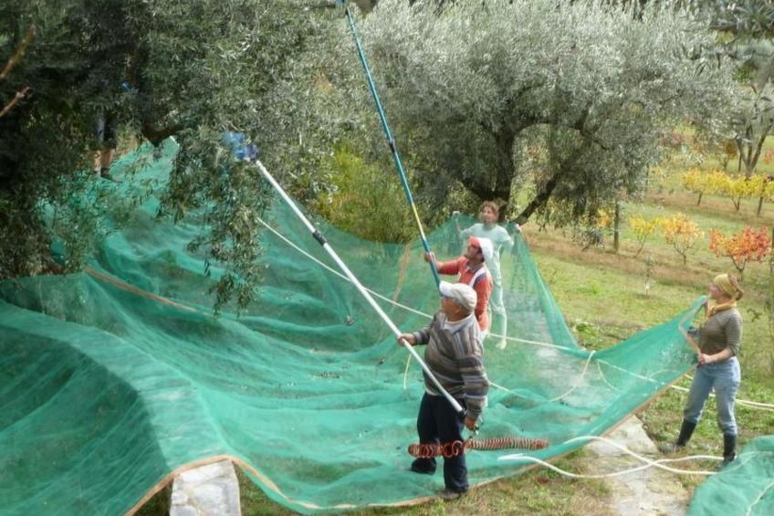 mit Sonnenterrasse und großem Garten - foto 28