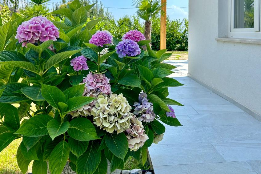 Villa Palma - foto 44