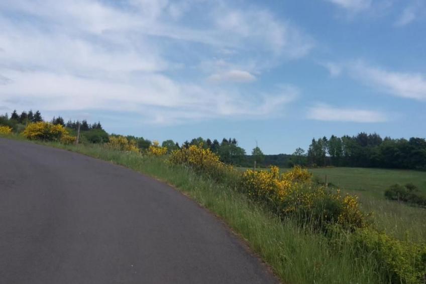 in Zendscheid mit Offenem Kamin - foto 33