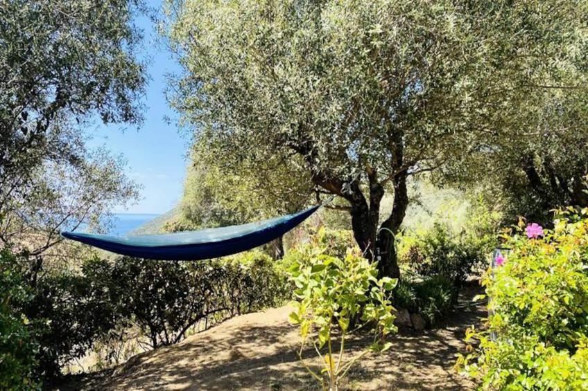 Résidence Hsain001-olmeto - foto 18