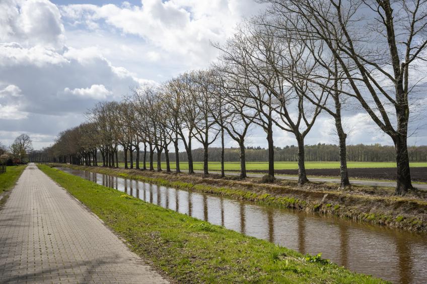 De Kibbelhoeve - foto 38