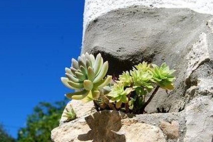 Rustikales Haus in Lukoran mit privatem Parkplatz - foto 39