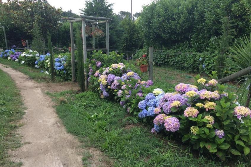 mit Blick auf das Wasser - foto 9