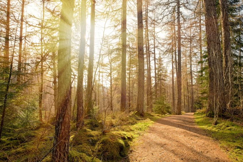 Strone Cottage - foto 37