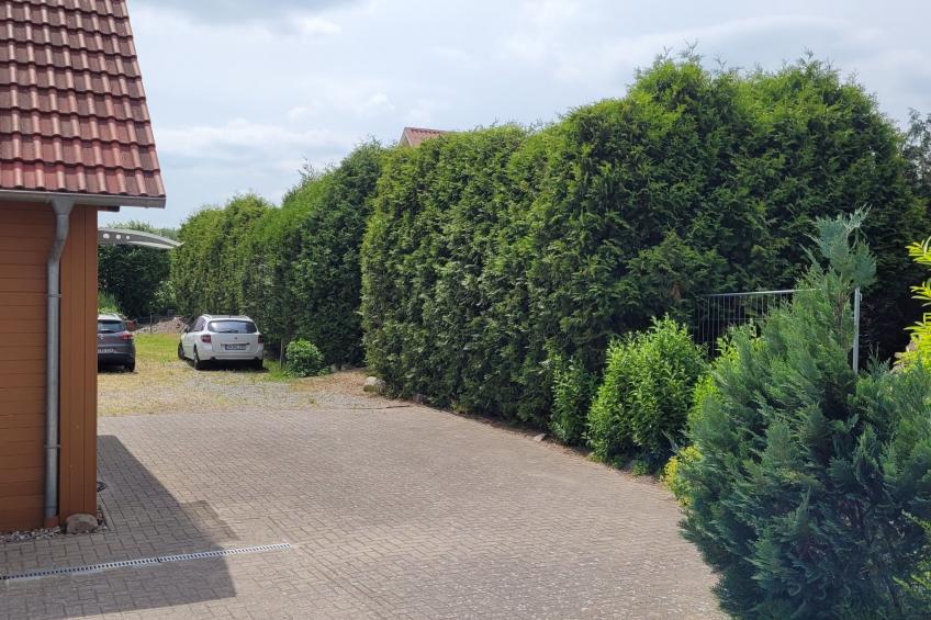 mit Terrasse - foto 10