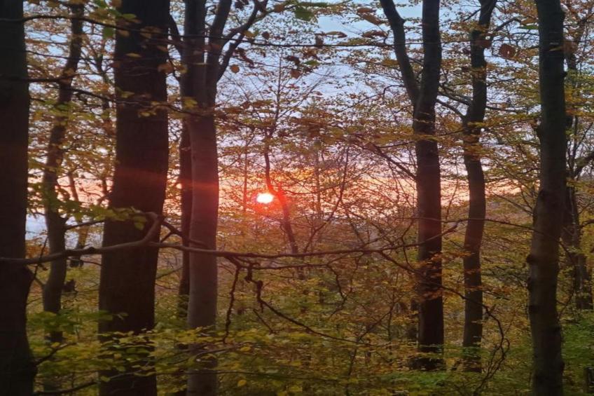 Weserbergland - Bad Pyrmont - foto 31