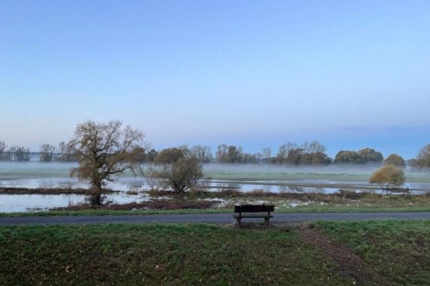 Haus Elbrose inmitten von Rosen mit Elbdeichzugang - foto 15