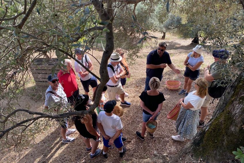 Geräumige Artemide-Wohnung mit Terrasse - foto 40