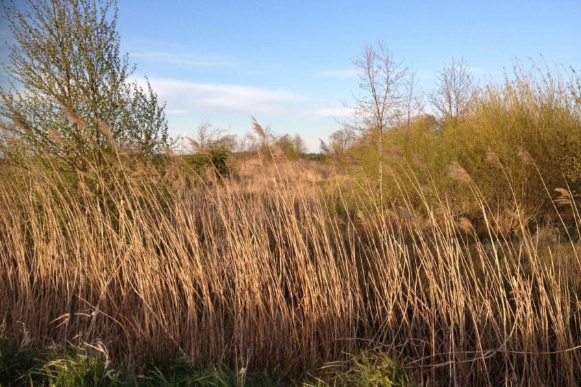 Dat luettje Huus 1 - foto 47