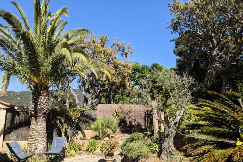 Appartements à Coti Chiavari - Corse - foto 19