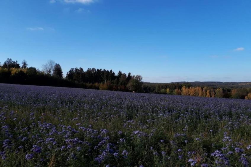 Im Erzgebirge - foto 28