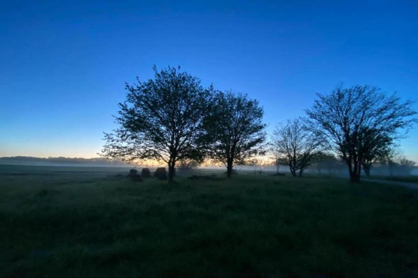 Le petit Nichoir - foto 30