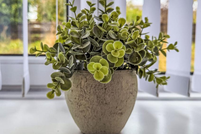 Gordonstoun Cottage - foto 9