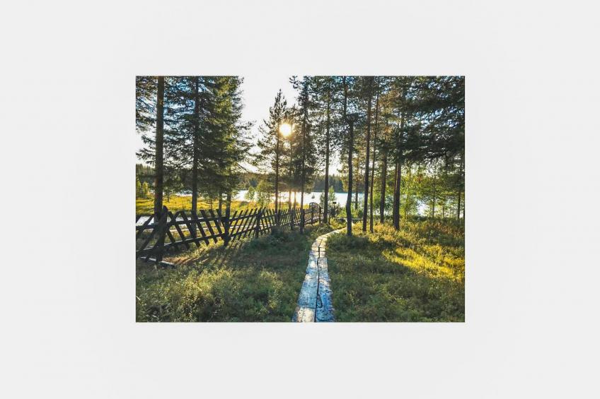 Örtsylä b - foto 20