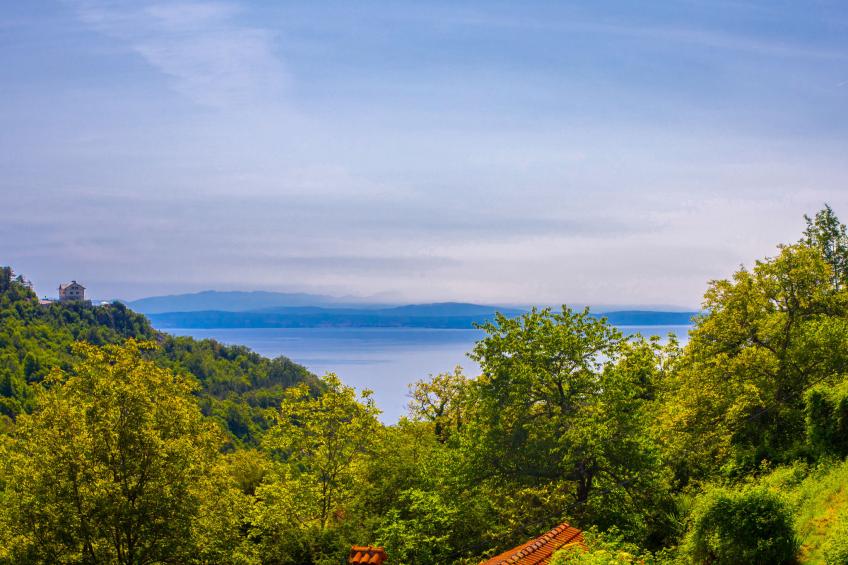 Sirotnjak 1 - foto 18