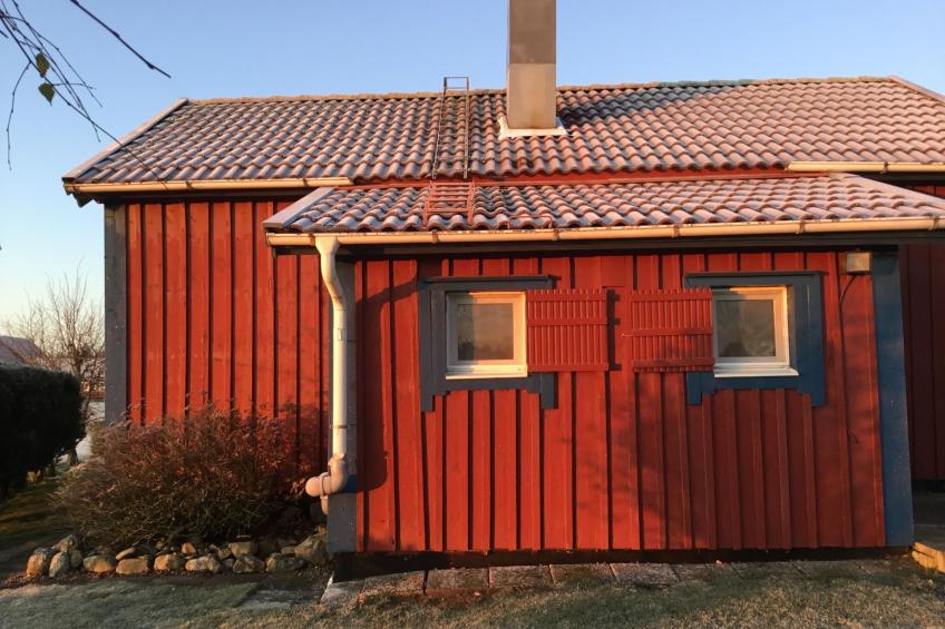 Blombacker - foto 40