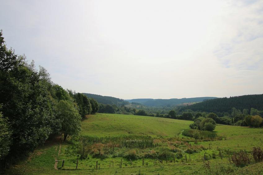 C'est mon daim - foto 23
