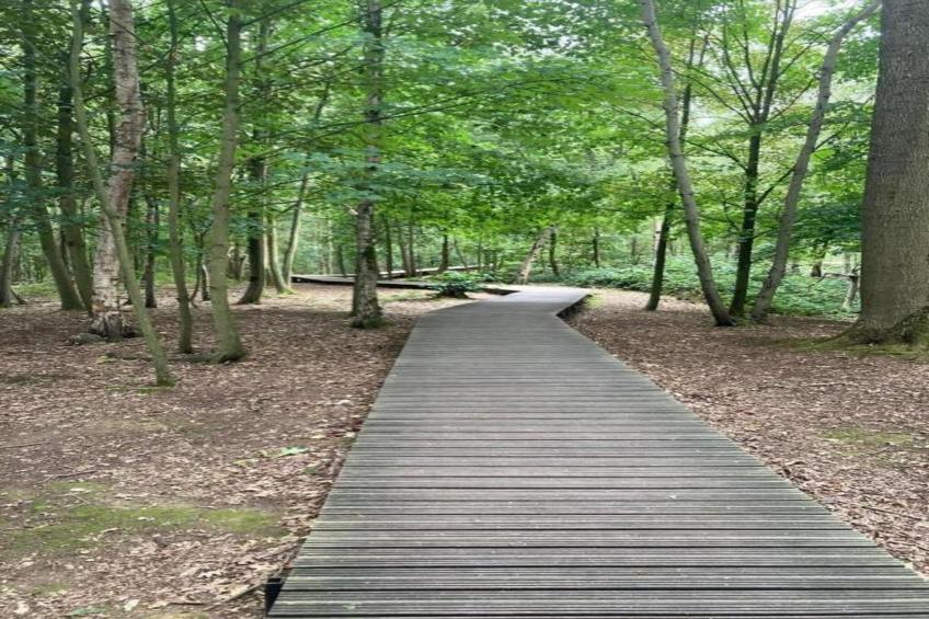 Hommelhove - foto 42