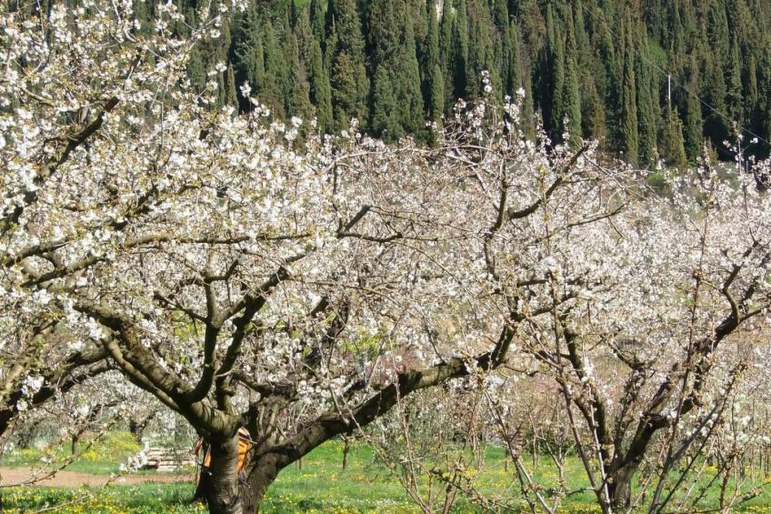 Anwesen mit Garten, Grill und Terrasse - foto 23