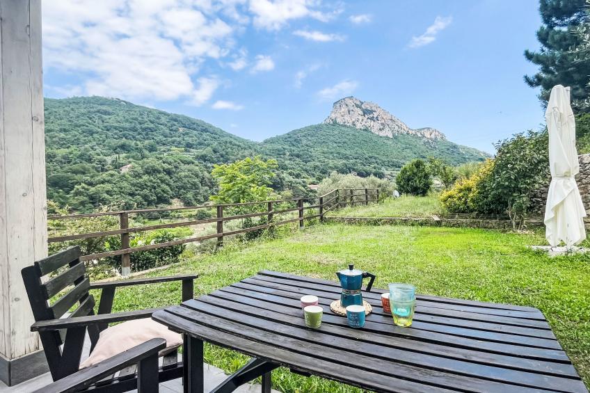 Le radici dell´ulivo - foto 18