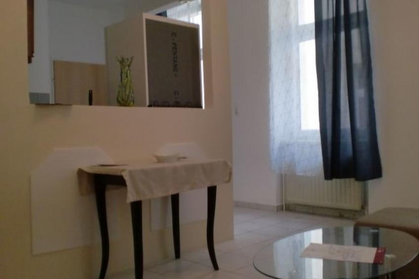 Charmante Wohnung in Fünfhaus mit Garten - foto 9