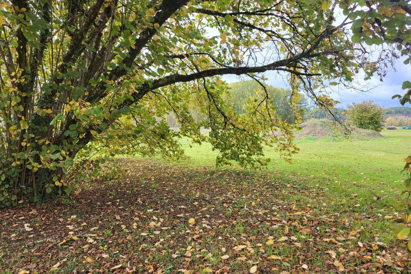 Maison des Prairies - foto 23