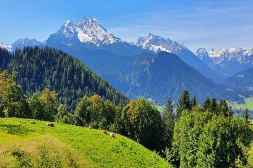 Apartments Toni Schönau am Königssee-Göll Wohnung 2 55 qm - foto 38