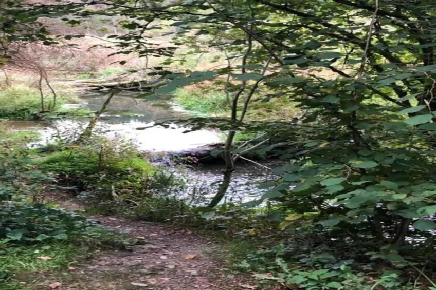 Ardennes Bleu 8 pers maximum - foto 37