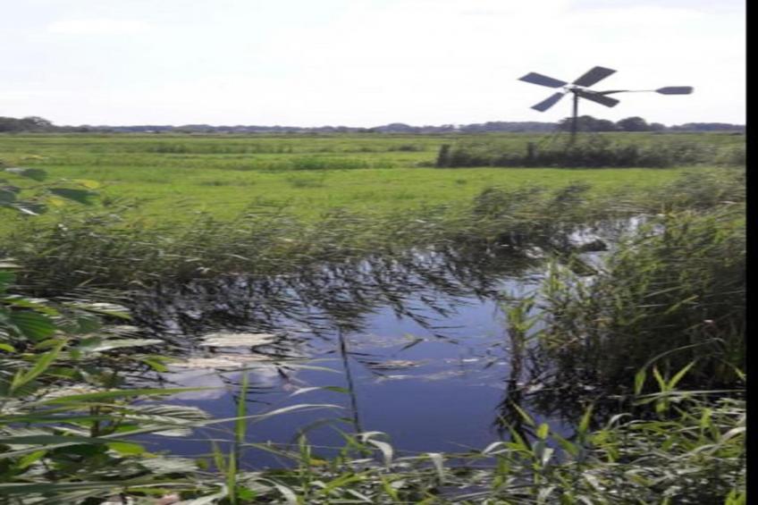 Aan de dwarsgracht - foto 35