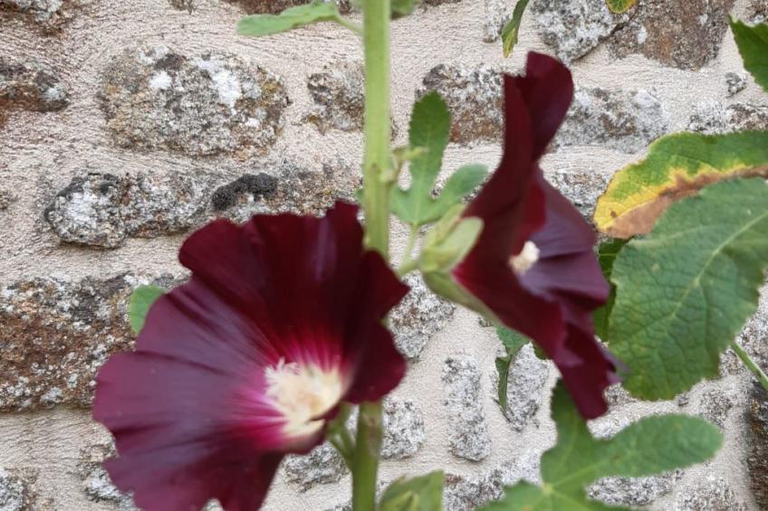 Finca "Motje" mit Aussicht - foto 20