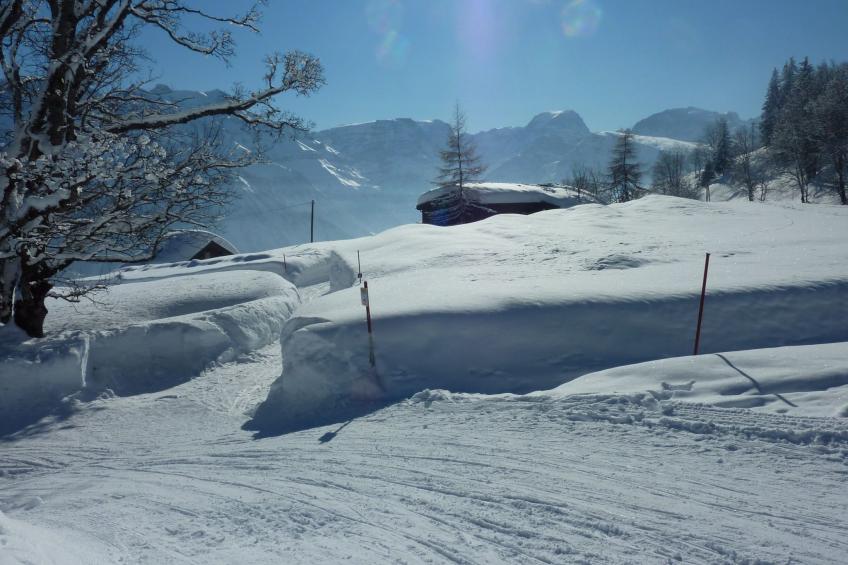 Mattishüüsli - foto 8