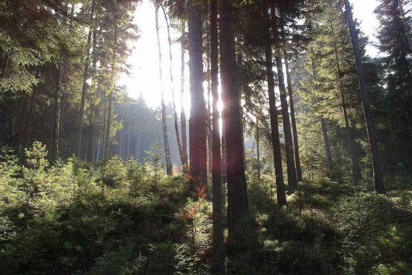 Bad Elster - foto 25