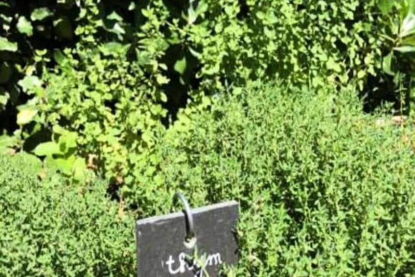 La Matina : Expérimentez Une Maison D'architecte - foto 51