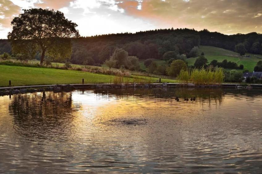 A gen beuke - foto 21